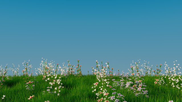 Spring Field Background with copy-space. Nature Scene with Long Grass, Wild Flowers and Clear Blue Sky.