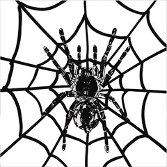 Illustration graphic image of spider on spider web in black and white color.
Suitable design for t-shirt, tattoo design, card, logo etc