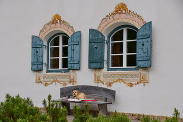 wachsamer Hund vor Hauseingang in Südtirol