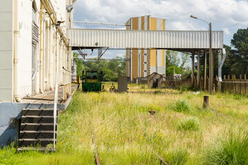 Abandoned factory where nature has taken over