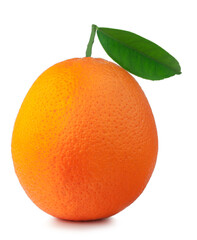 Orange isolated on the white background
