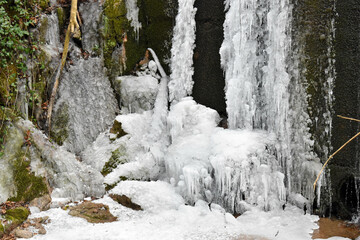 Cascada helada en un bosque
