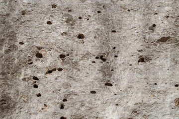 Pared de roca en el litoral de Torre dell'Orso, Lecce, Italia. Muro natural de roca caliza erosionado por el clima costero, viento, lluvia, espray salino y el golpeo de las partículas de arena.