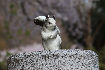 リスの熱い視線