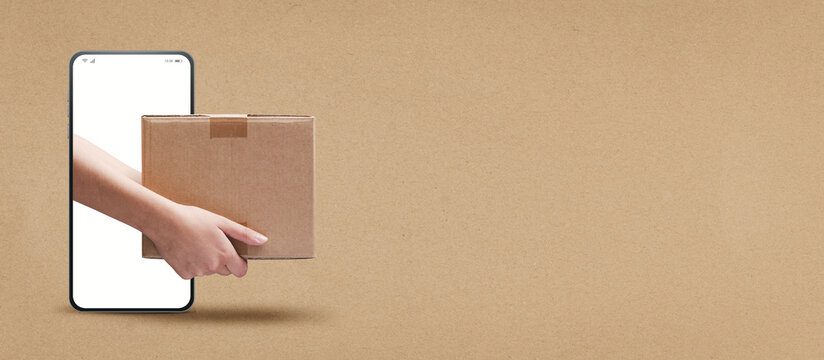 Express courier delivery app on smartphone