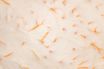 Grapefruit peel on inside, close-up macro view, full depth of field