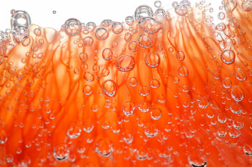 Grapefruit slice peeled in water with air bubbles, in background light, close-up macro view, red citrus fruit