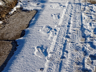 footprints on a snow-covered path