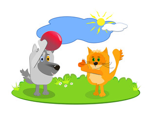 Cat and dog throw the ball at each other on a fine, sunny day.