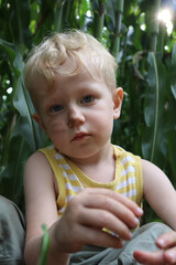 Portrait of a little boy looking at the camera against the background of the foliage of a corn field