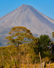 Road leading to the Colima volcano amidst a scenery