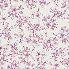 Wildflower Sakura flower pattern in a one line style. Sketch wild flower for background, texture, wrapper pattern, frame or border.