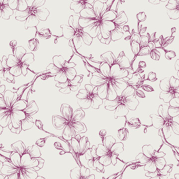 Wildflower Sakura flower pattern in a one line style. Sketch wild flower for background, texture, wrapper pattern, frame or border.