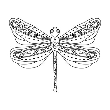 Dragonfly. Coloring page for adults antistress in zentangle style.