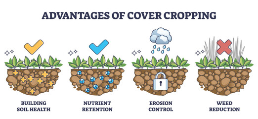 Cover crops cultivation or growing advantages for soil health outline diagram. Labeled educational scheme with earth health, nutrient retention, erosion control and weed reduction vector illustration - obrazy, fototapety, plakaty