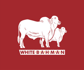 WHITE BRAHMAN CATTLE LOGO, great silhouette of health bull standing vector illustrations