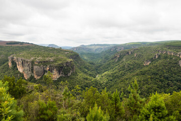 Charming valley with lush canyons covered in trees, offering a beautiful view from a viewpoint. Vale do corisco Senges - Paraná Brazil