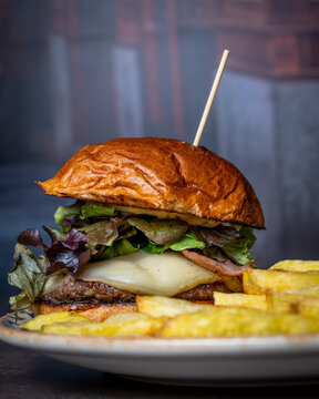 Hamburguesa Gourmet acompa&ntilde;ada con papas fritas