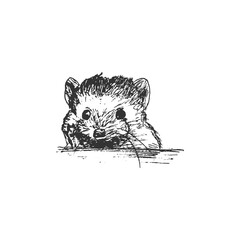 Cute sketch hand drawn black hedgehog icon isolated on white background