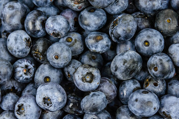 Background of the many blueberries. Healthy eating concept