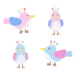 colorful bird illustrations