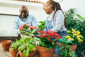 Multiracial women preparing flowers plants inside home garden outdoor - Spring and family lifestyle concept - Focus on african woman face