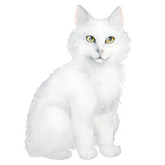 Watercolor illustration of white cute fluffy cat isolated on white background.