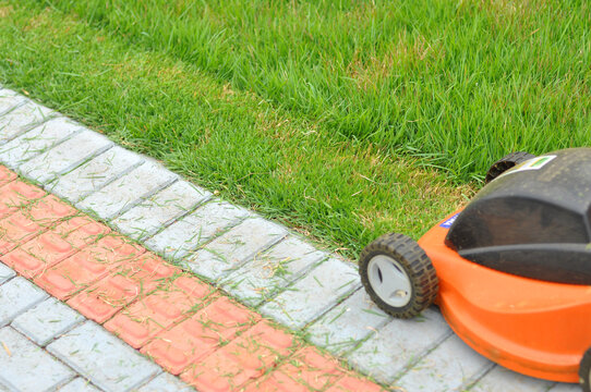 cortando a grama aparando o jardim 