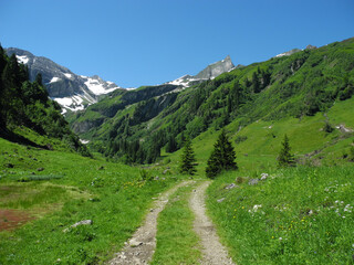 Wandern - Weg - im B&auml;rg&uuml;ndeletal - Allg&auml;u - Sommer