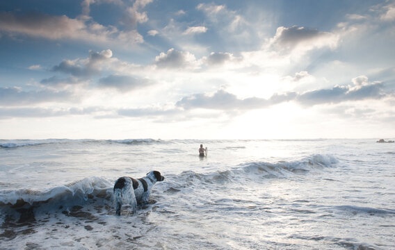 A dog ventures out into the surf where a woman plays in the waves on a quiet beach in Mexico.