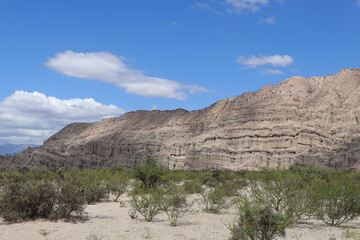 Fototapeta premium Le formazioni rocciose tra le città di Puerta de Corral Quemado e Villa Vil. Catamarca. Argentina