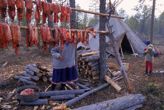 Hanging fish to dry, Siberia, Russia.