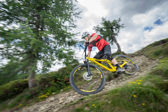 Mountain biker riding down hill on forest path, Trentino-Alto Adige, Italy