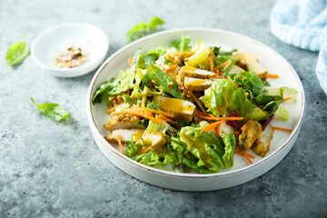 Leaf salad with chicken and mango sauce