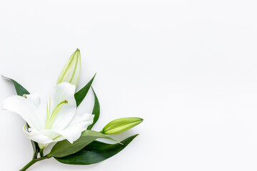 White liles flowers with leaves. Floral background