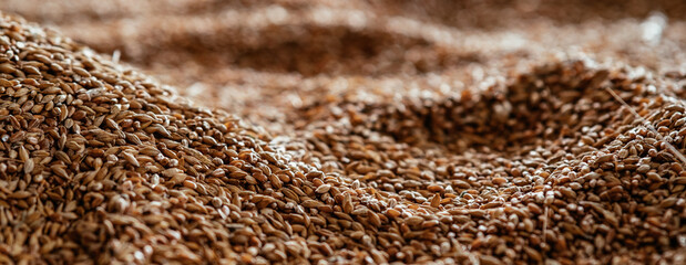 Horizontal abstract background grain harvested harvest