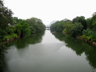 Fototapeta na wymiar A canal through green mangroves in the city of Vijayawada in Andhra Pradesh, India.