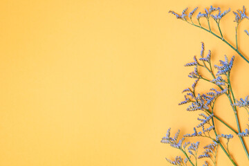 blue sprigs of flowers on a yellow background, spring background with copy space