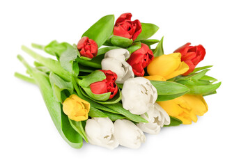 bouquet of yellow, white and red tulips lying on a white isolated background
