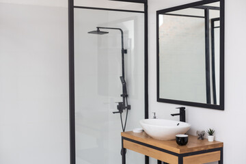 Shower Cabin in the Modern Bathroom