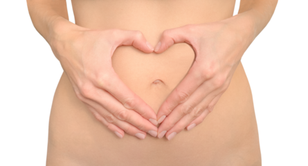 A young slender woman without clothes. Standing, folded her hands in the shape of a heart on her bare stomach. Close-up of the middle part of a fit young woman. Isolated.