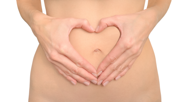 A young slender woman without clothes. Standing, folded her hands in the shape of a heart on her bare stomach. Close-up of the middle part of a fit young woman. Isolated.