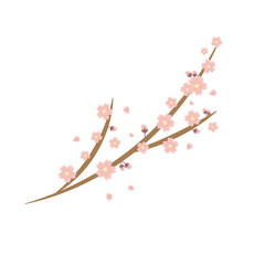 桜　枝