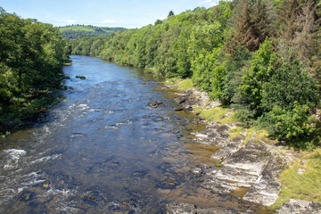 River Wye and the Wye Valley in the Summertime. - obrazy, fototapety, plakaty