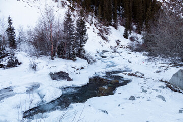 Fototapeta na wymiar Flowing mountain river in winter