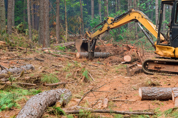 Work tractor manipulator uproot trees with aim lifting logs to prepare land for construction of new housing being done order carry out deforestation work