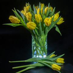 bouquet de tulipe