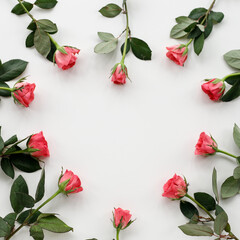 Flowers composition. Frame made of red rose on white background. Flat lay, top view, copy space.