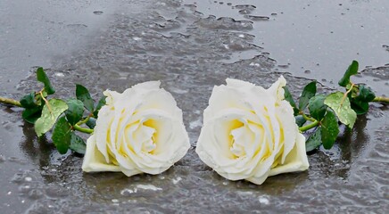 zwei  auf einem grauen Stein niedergelegte gelbe Rosen auf gefrorenem Untergrund zum Ausdruck der...