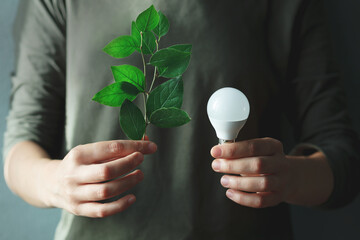 Female hand holding led light bulb and eco tree leaf. Green energy concept
